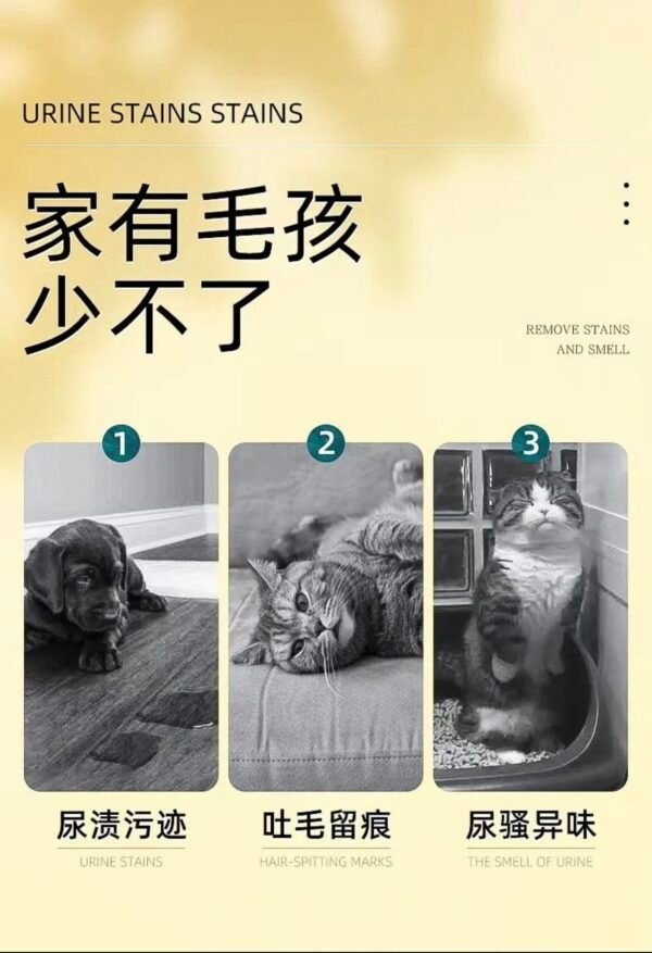 Angie·OdorZap去漬除味噴霧適用鐵錘除臭劑貓尿除味分解清新居家 - 图片 3