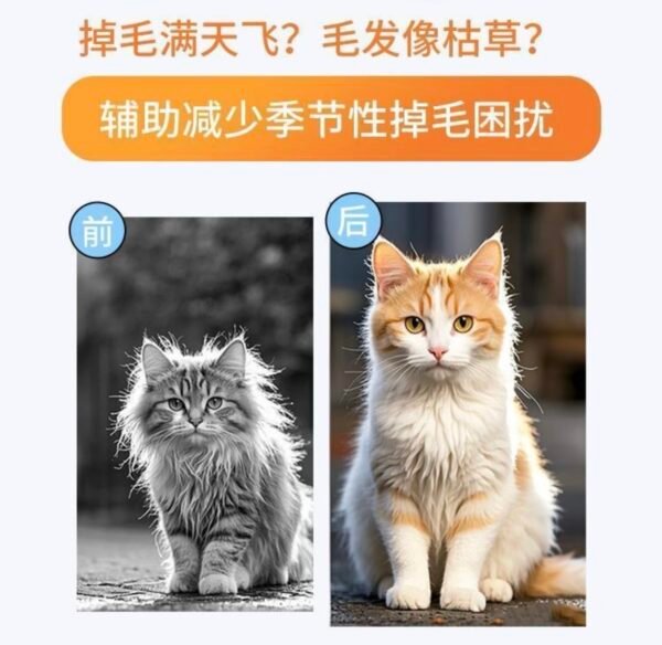 Angie·PetriBiotinD生物素告別掉毛怪美毛爆毛貓狗通用 - 图片 4