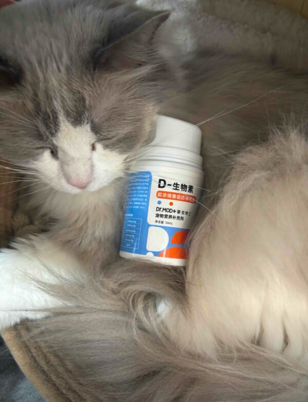 Angie·PetriBiotinD生物素告別掉毛怪美毛爆毛貓狗通用 - 图片 9
